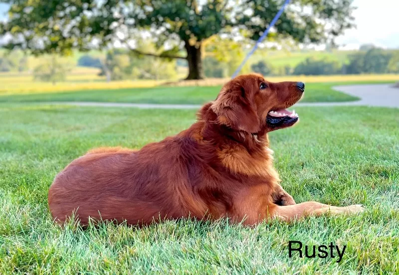 Rusty