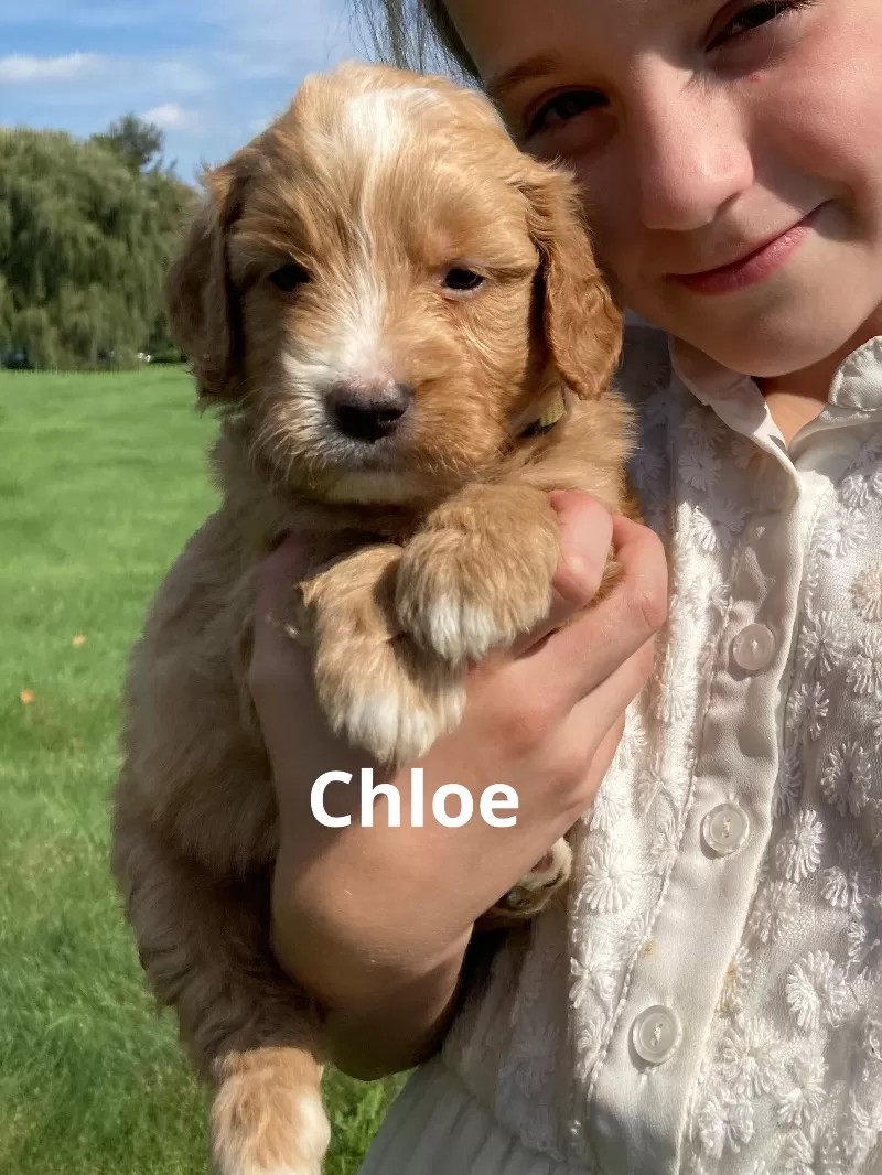 Chloe