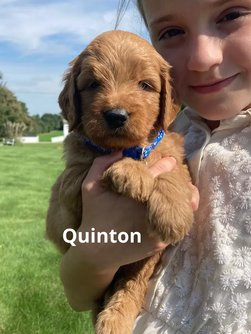 Quinton