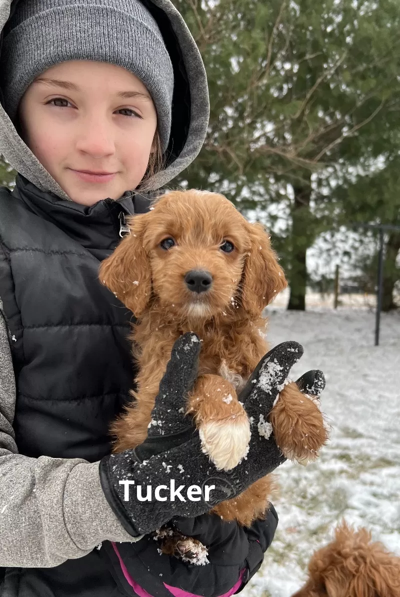 Puppy Name: Tucker