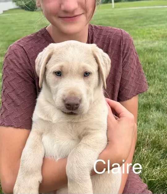 Claire