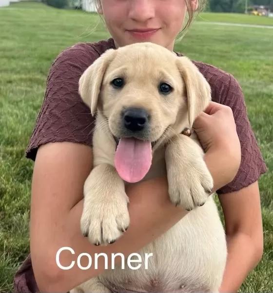 Conner