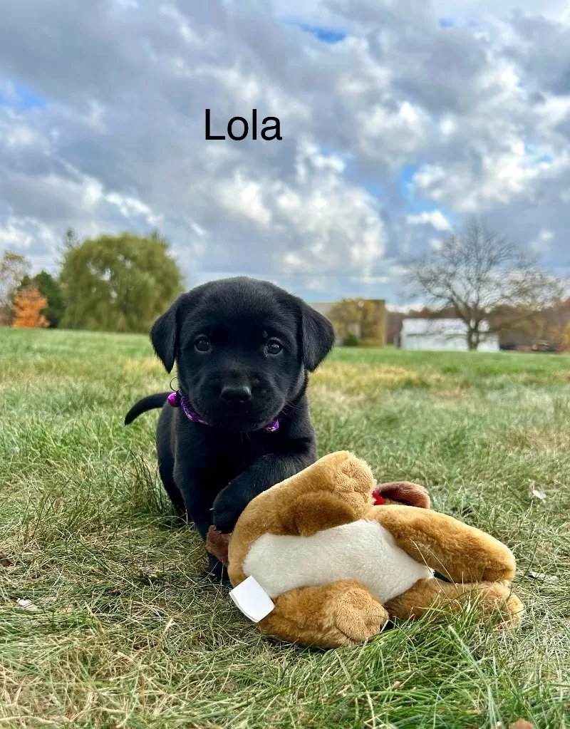 Lola