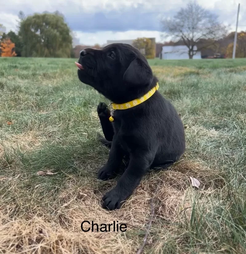 Charlie