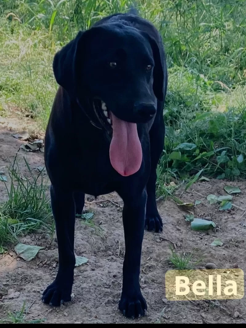 Bella