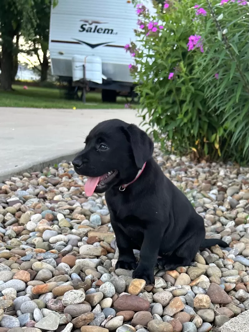 Lucy