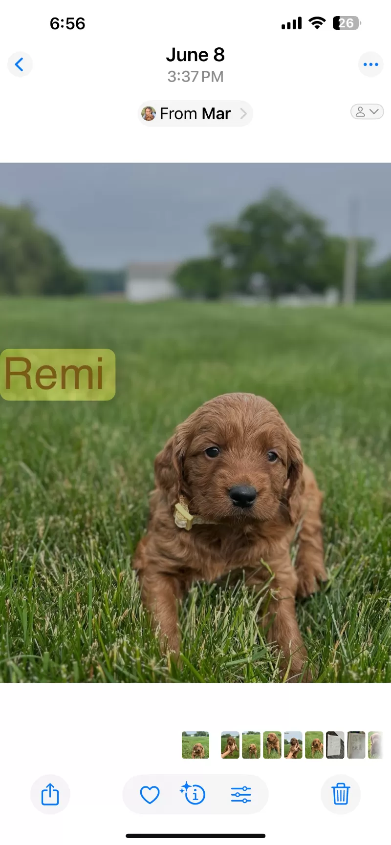 Remi