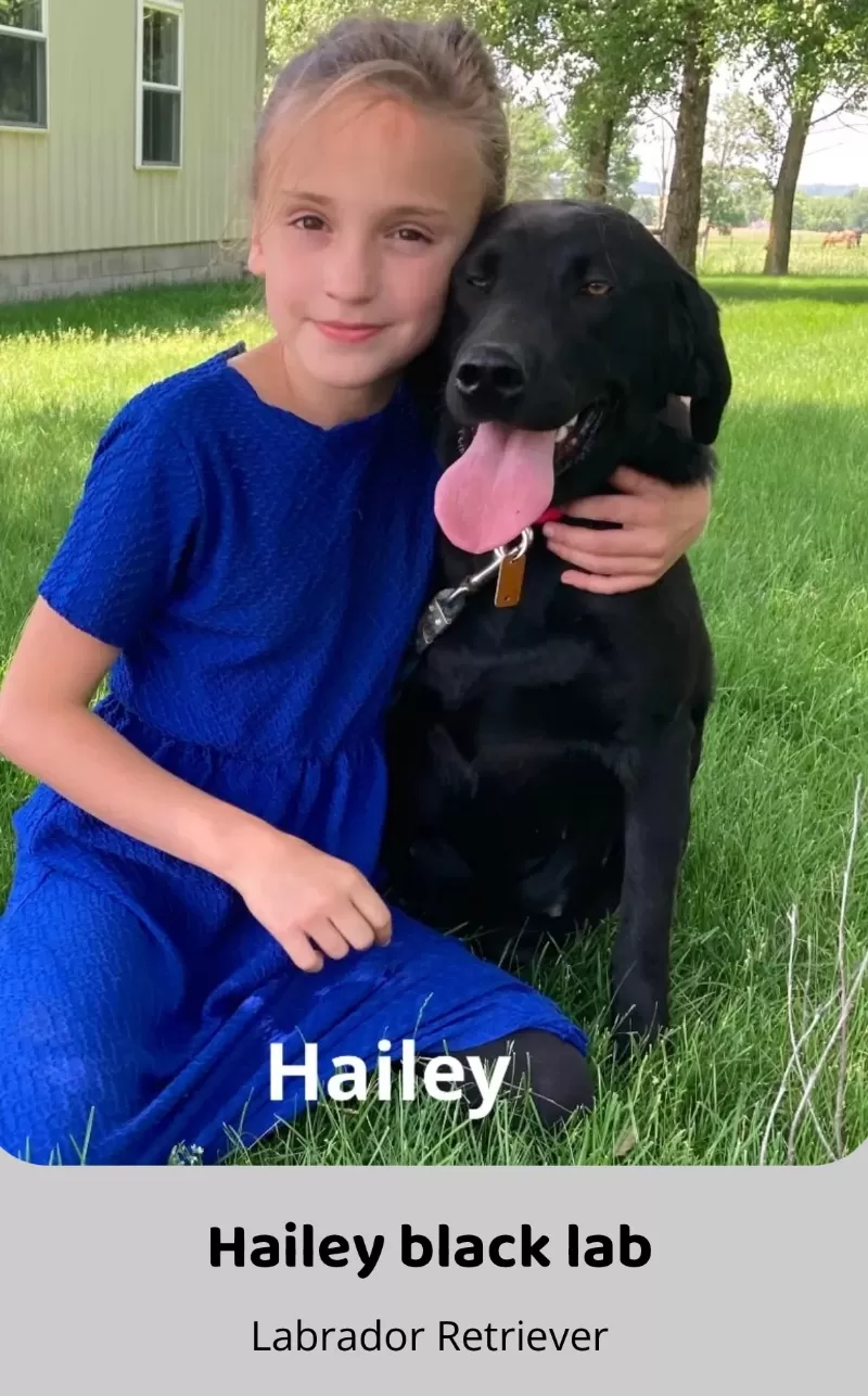 Hailey litter