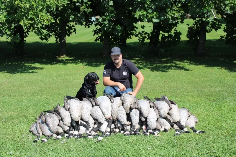 Hailey litter