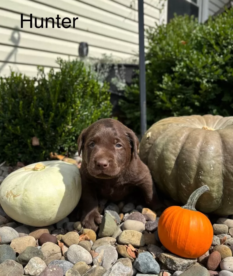 Hunter