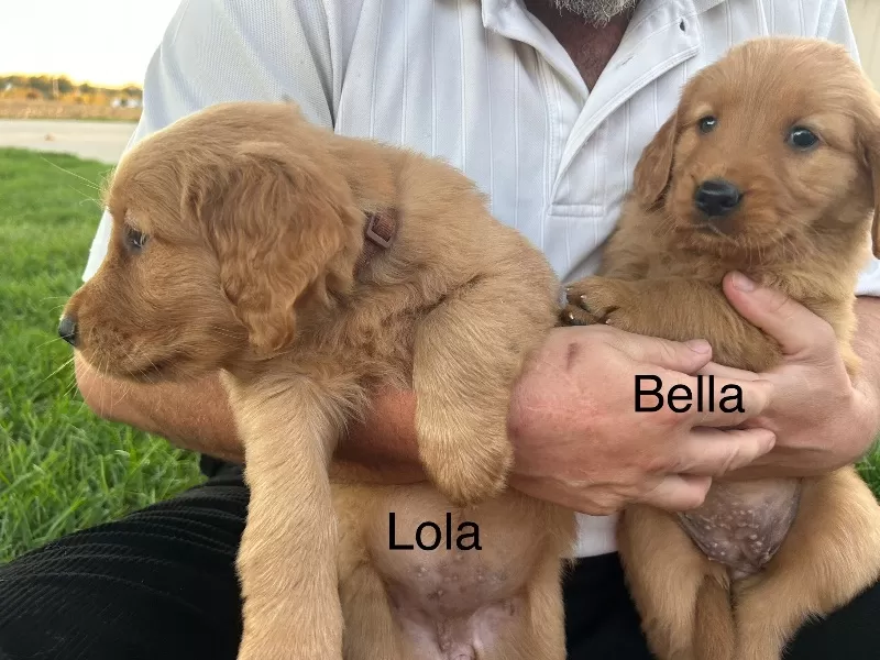 Lola