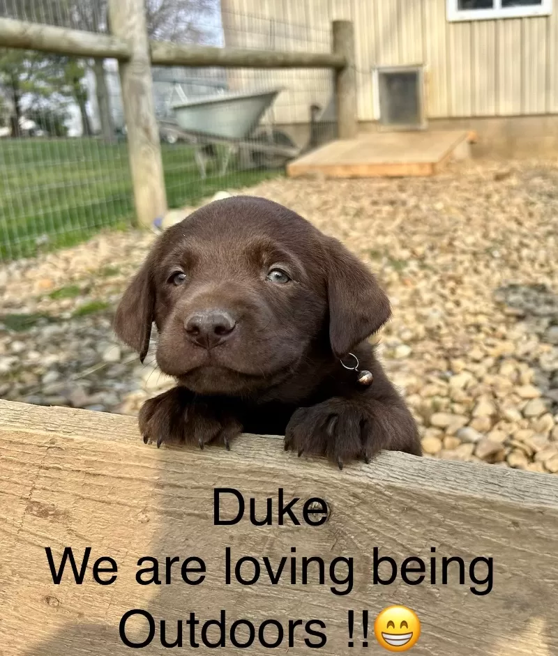 Duke