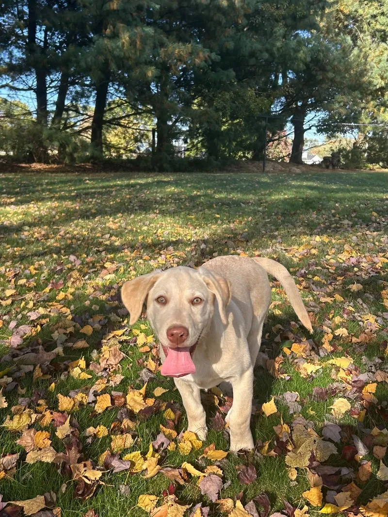 Oakley