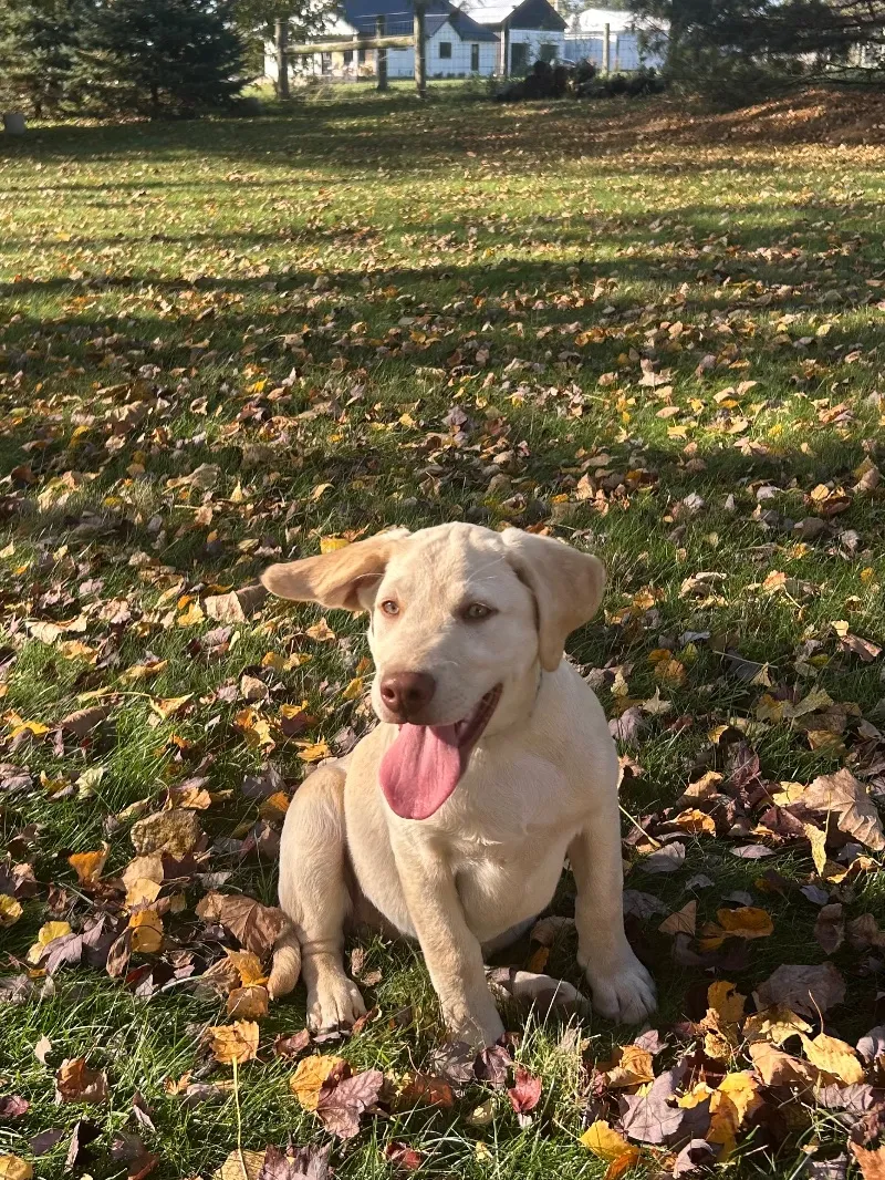 Oakley