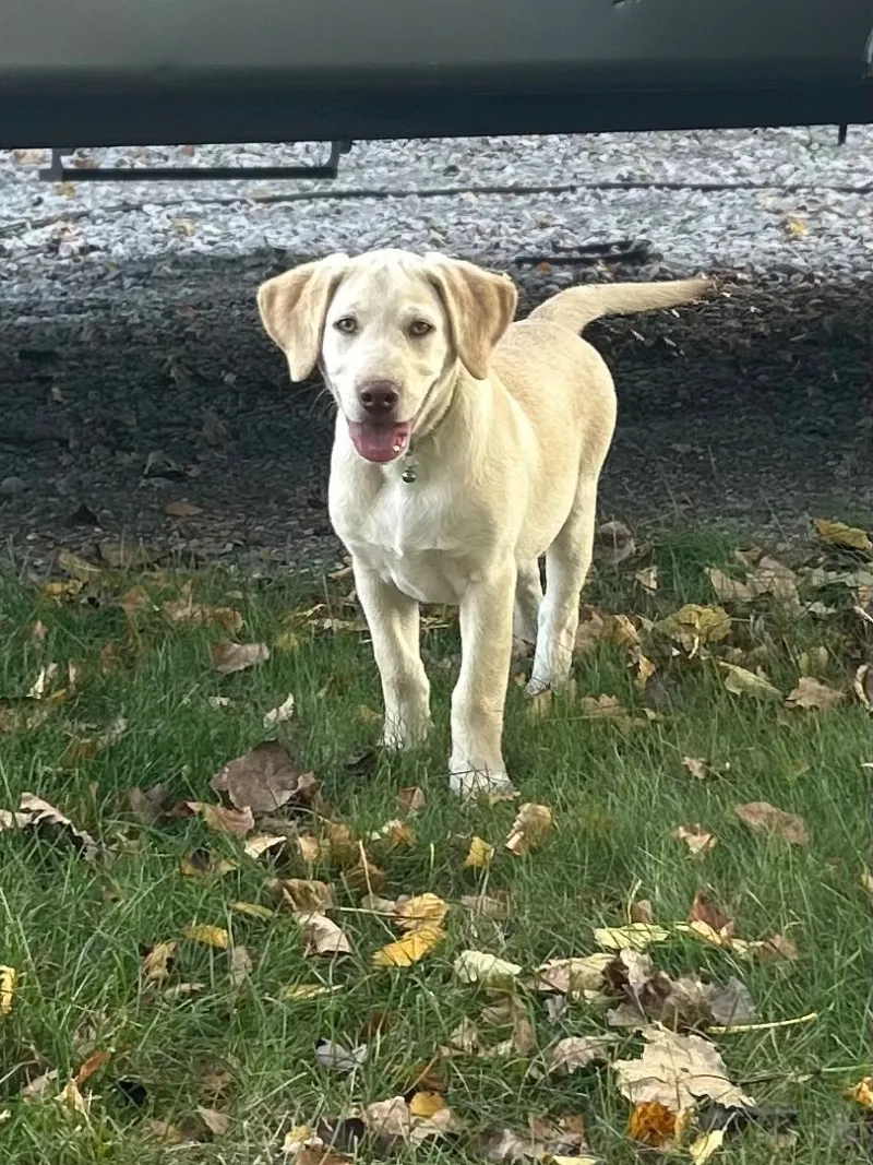 Oakley