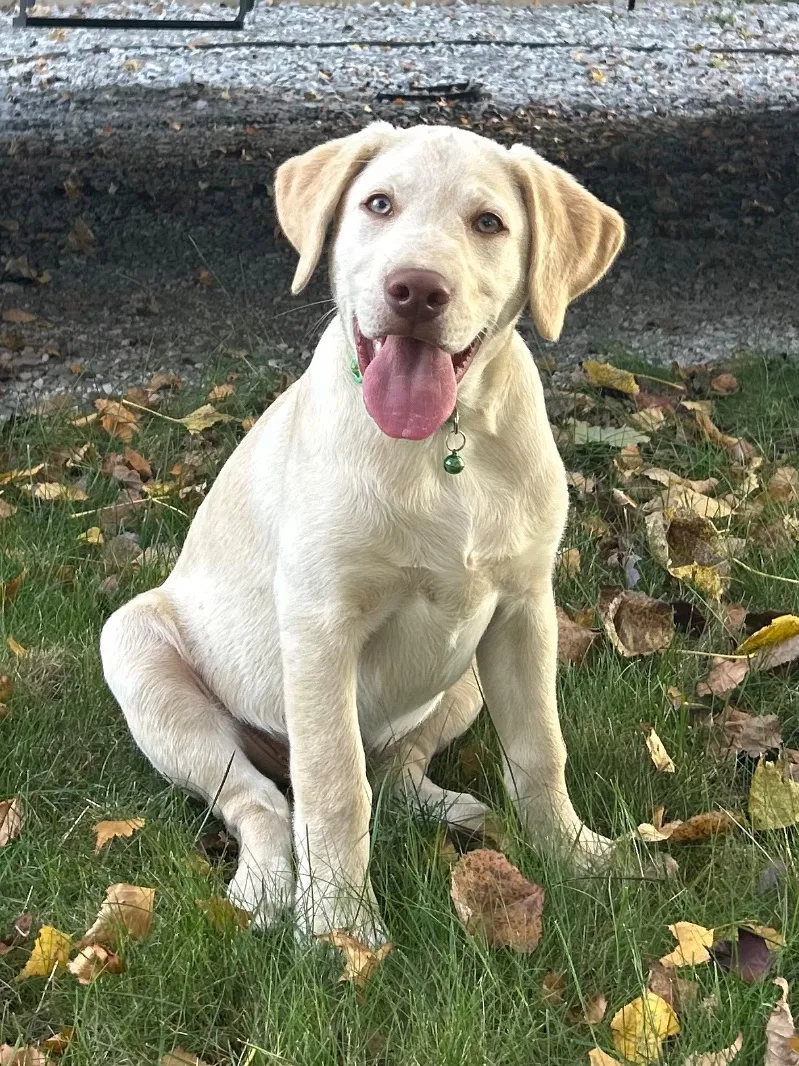 Oakley