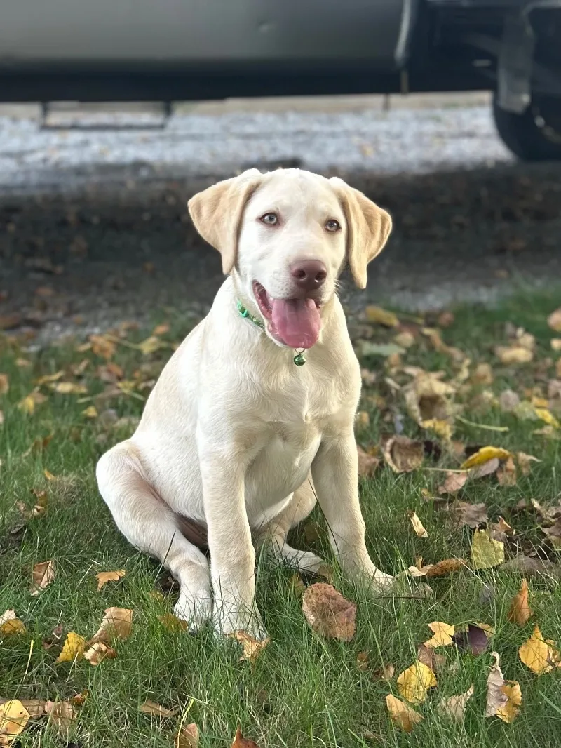 Oakley