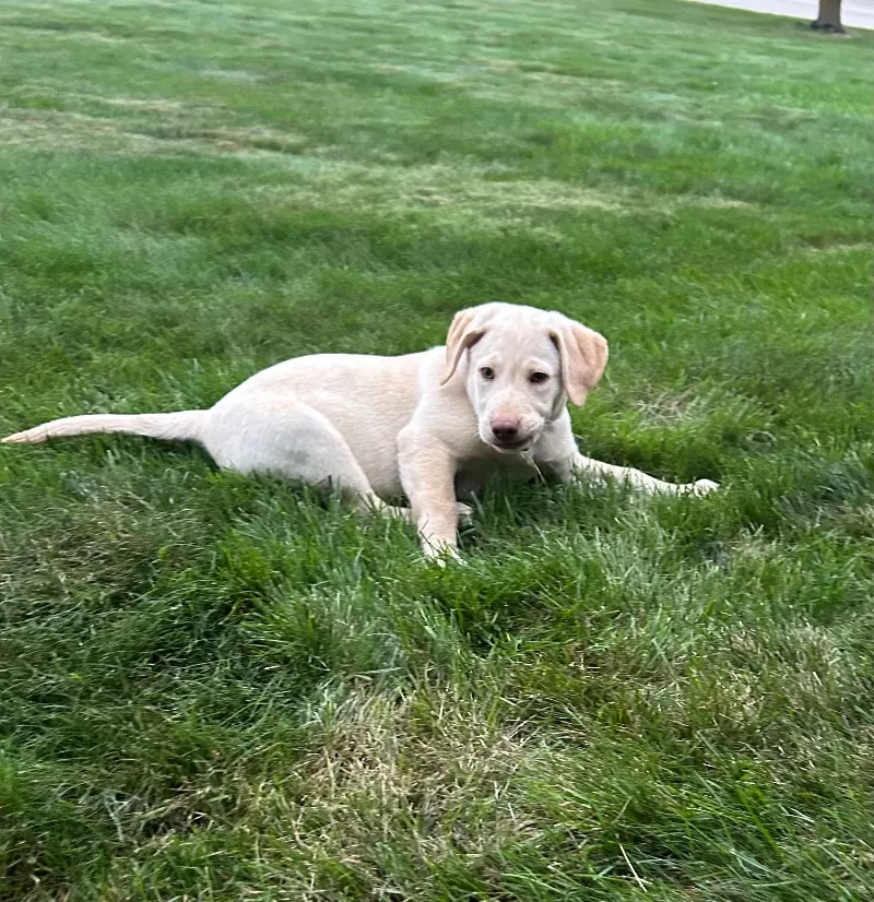 Oakley
