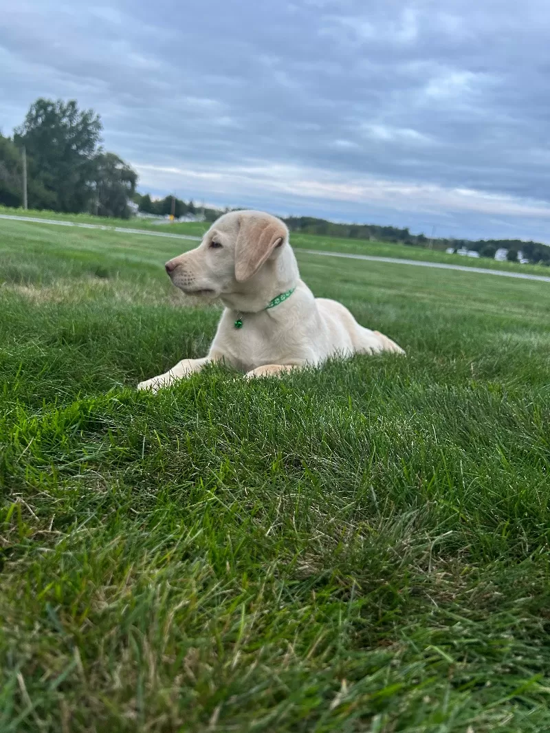 Oakley