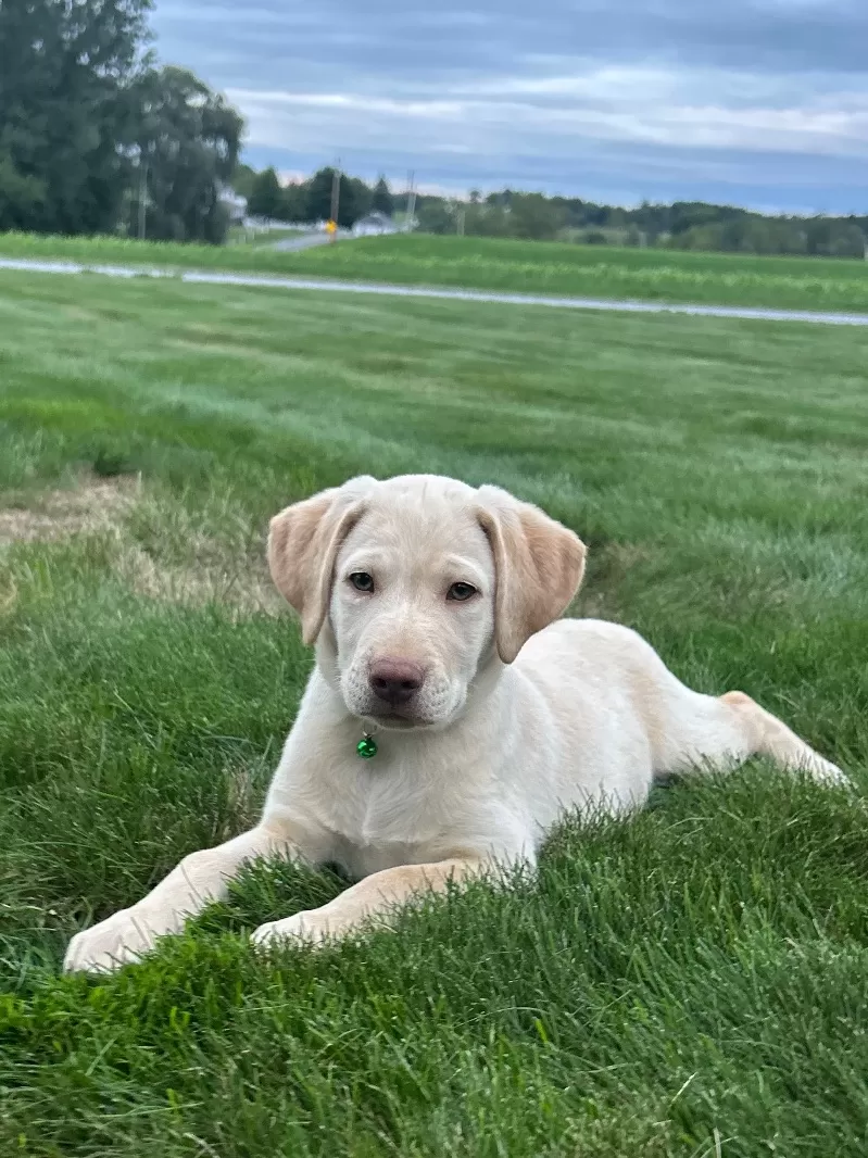 Oakley