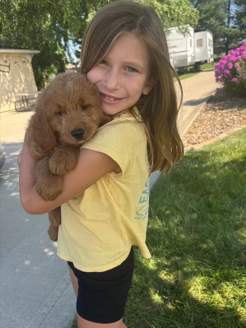 Heidi